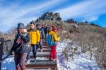 Deogyusan,korea - January 1: Tourists Taking Photos Of The Beautiful Scenery And Skiing Around Deogyusan,south Korea On January 1, 2016 Stock Photo