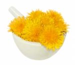 Dandelion Stock Photo