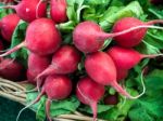 Bunch Of Radishes For Sale On A Market Stall Stock Photo