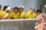 Primary Students Visit The Zoo, In The Jul 27, 2016. Bangkok Thailand Stock Photo