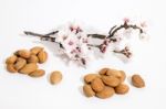 Almond Tree Branch And Almonds Stock Photo