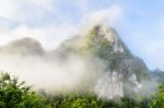 Lush High Mountains Covered By Mist Stock Photo