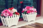 Artificial Flowers Pot Stock Photo