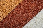 Rice Grain Stock Photo