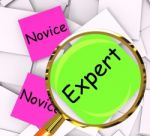 Novice Expert Post-it Papers Mean Amateur Or Skilled Stock Photo