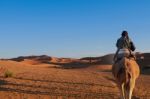 Ride In The Sand Stock Photo