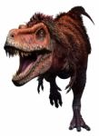 Tarbosaurus Stock Photo