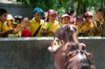 Primary Students Visit The Zoo, In The Jul 27, 2016. Bangkok Thailand Stock Photo