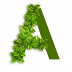 Letter A With Leaves Stock Photo