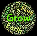 Grow Word Meaning Farming Cultivate And Sowing Stock Photo