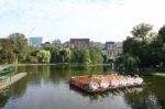 Boston Sept 10: Boston Common Public Garden Lake In Massachusett Stock Photo