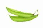 Winged Bean Stock Photo