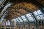 Ceiling Detail Of The Natural History Museum In London Stock Photo