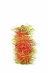 Rambutan Fruits Stock Photo