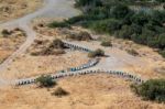 Cyprus, Greece/europe - July 21 : Two Lines Of Beehives In Cypru Stock Photo