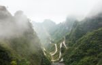 Zhangjiajie National Park ( Tian Zhi Shan ) ( Tianzi Mountain Nature Reserve ) And Fog , China Stock Photo