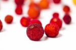 Strawberry Tree (arbutus Unedo) Fruit Stock Photo