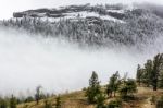 Countryside Of Yellowstone National Park Stock Photo