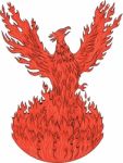 Phoenix Rising Fiery Flames Drawing Stock Photo