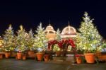 Seoul, Korea - December 21,2014: Christmas Tree Lights At Ninght In Everland. Photo Taken On December 21, 2014 In Seoul, South Korea Stock Photo