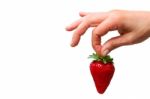 Holding Strawberry Stock Photo