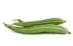 Ridge Gourd Stock Photo