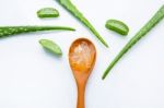 Aloe Vera On White Background Stock Photo