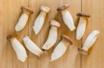 Pleurotus Eryngii Mushroom Stock Photo