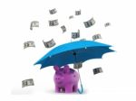 Umbrella Protect Your Money, Piggybank And Dollar Rain Stock Photo