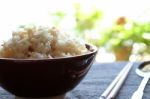 Cooked Brown Rice Stock Photo