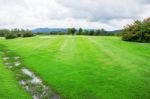 Lawn In Garden Stock Photo