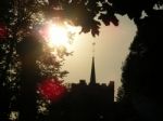 Church Through The Trees Stock Photo