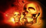 Skull Stock Photo