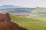 Spring Fields. Green Waves. Czech Moravia Hills Stock Photo