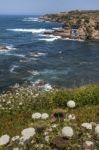 Rocks Formations On Alentejo Coastline Stock Photo