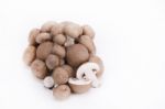 Mushrooms On A White Background Stock Photo