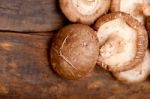 Shiitake Mushrooms Stock Photo