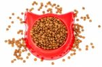 Dry Brown Pet Food For Cat In The Red Plastic Bowl Stock Photo