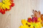 Frame Of Autumn Leaves Stock Photo