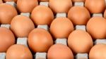 Close Up Egg In Packet Background Texture Stock Photo