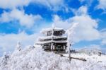 Deogyusan Mountains Is Covered By Snow In Winter,south Korea Stock Photo