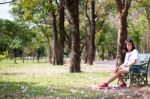 Woman Sitting On Bench Stock Photo