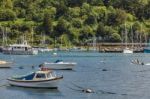 View Across The River Dart Towards Kingswear Stock Photo