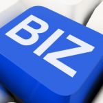 Biz Key Shows Online Or Web Business Stock Photo