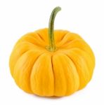 Pumpkin Isolated On The White Background Stock Photo