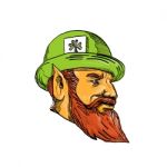 Leprechaun Head Side Drawing Stock Photo