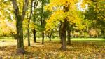 Autumn Season In Russia Moscow Stock Photo