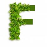 Letter F With Leaves Stock Photo