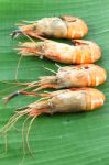 Vertical Row Of Shrimp Grilled On Banana Leaf Stock Photo