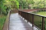 Wooden Bridge Over The Lake Through The Forest Stock Photo